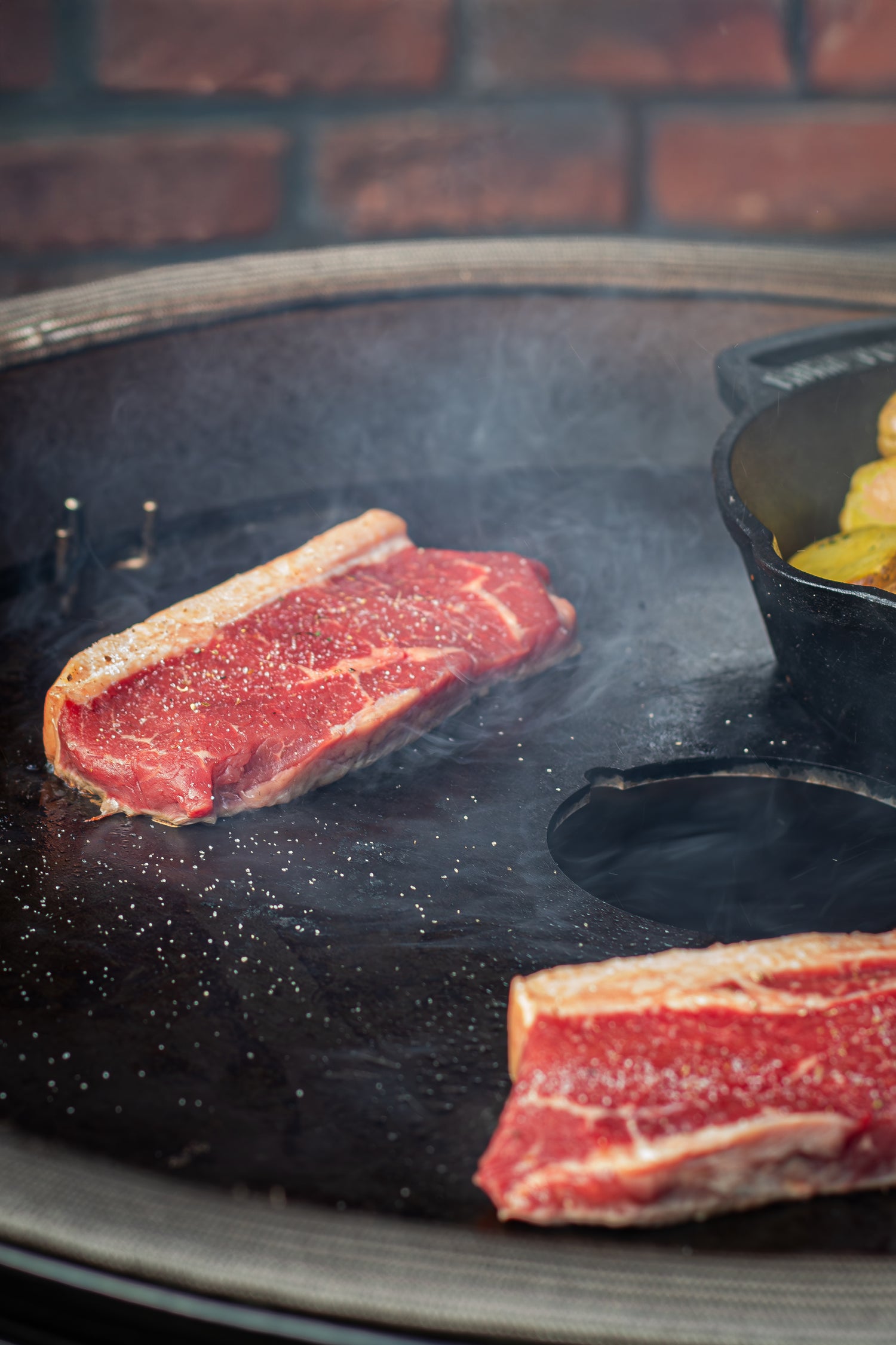 FireTech - Plancha voor Large kamado